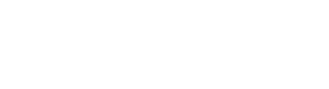 MetaAI